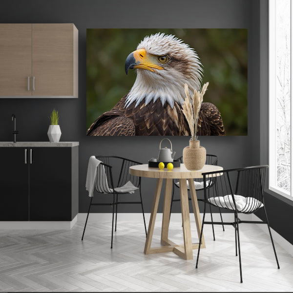 Gedetailleerd portret van een majestueuze adelaar poster