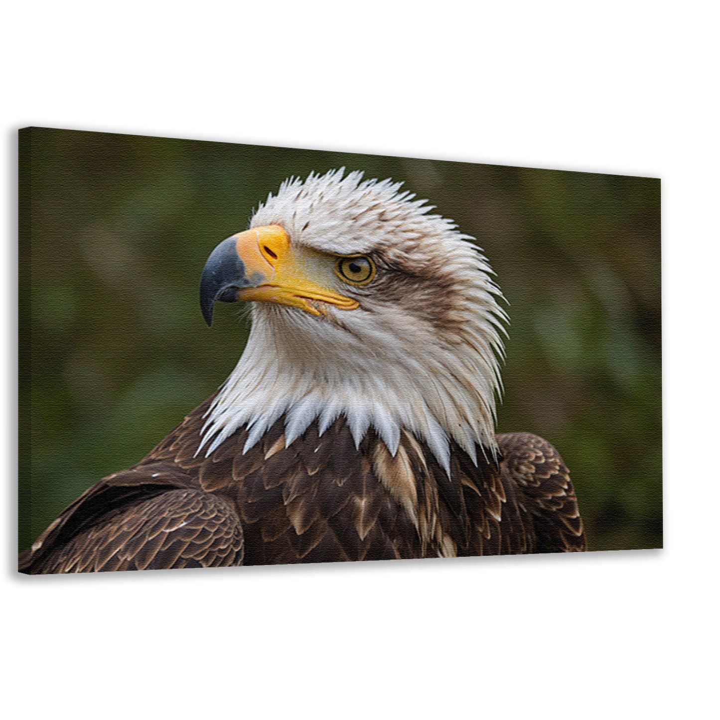 Gedetailleerd portret van een majestueuze adelaar canvas