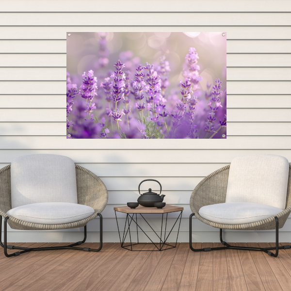 Lavendelveld in bloei met zachte zonlichtgloed tuinposter