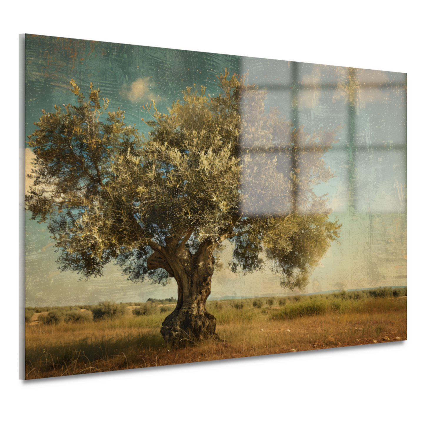 Olijfboom in Impressionistische Stijl acrylglas