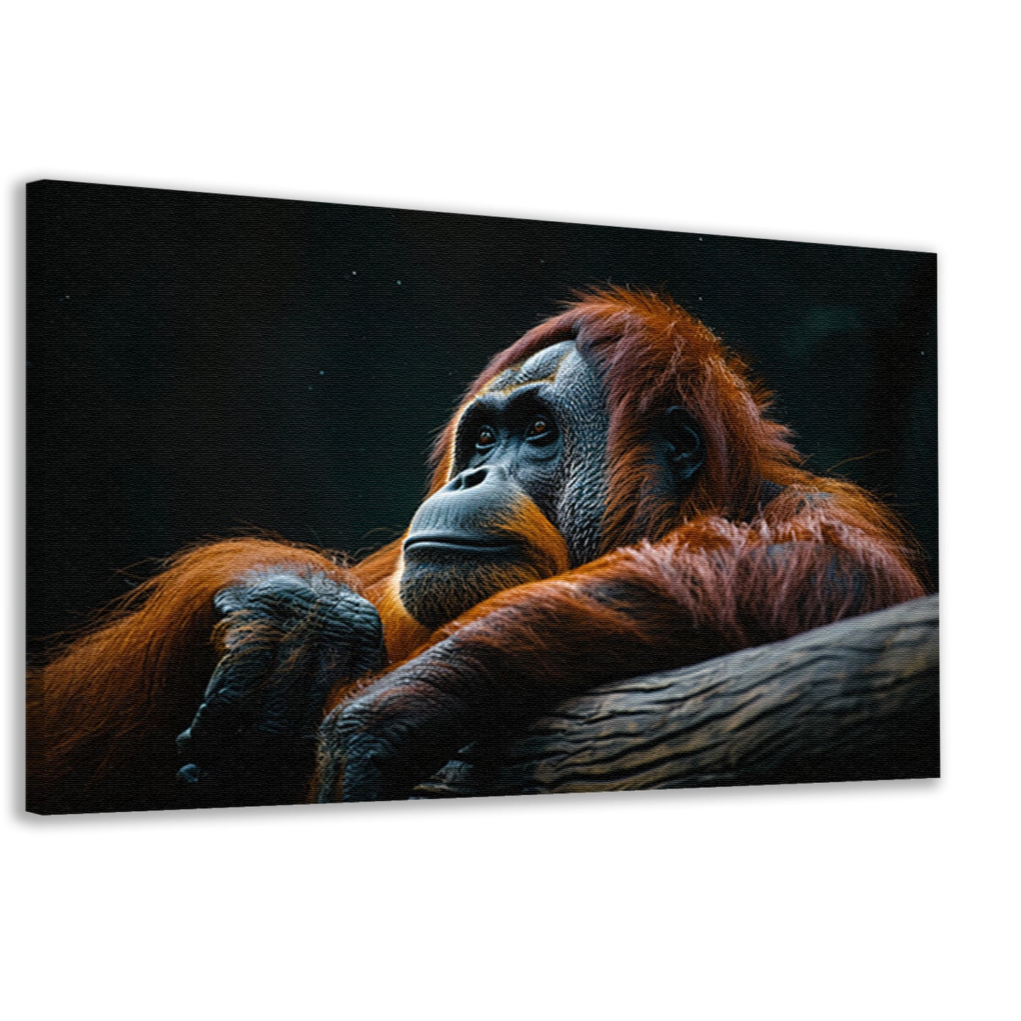 Serene Orang-oetan in Natuurlijke Rust canvas