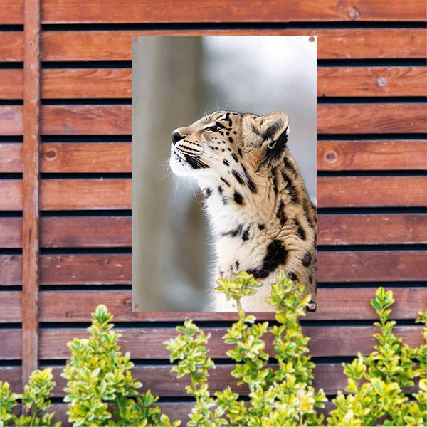 Schilderij van realistische luipaard in detail tuinposter