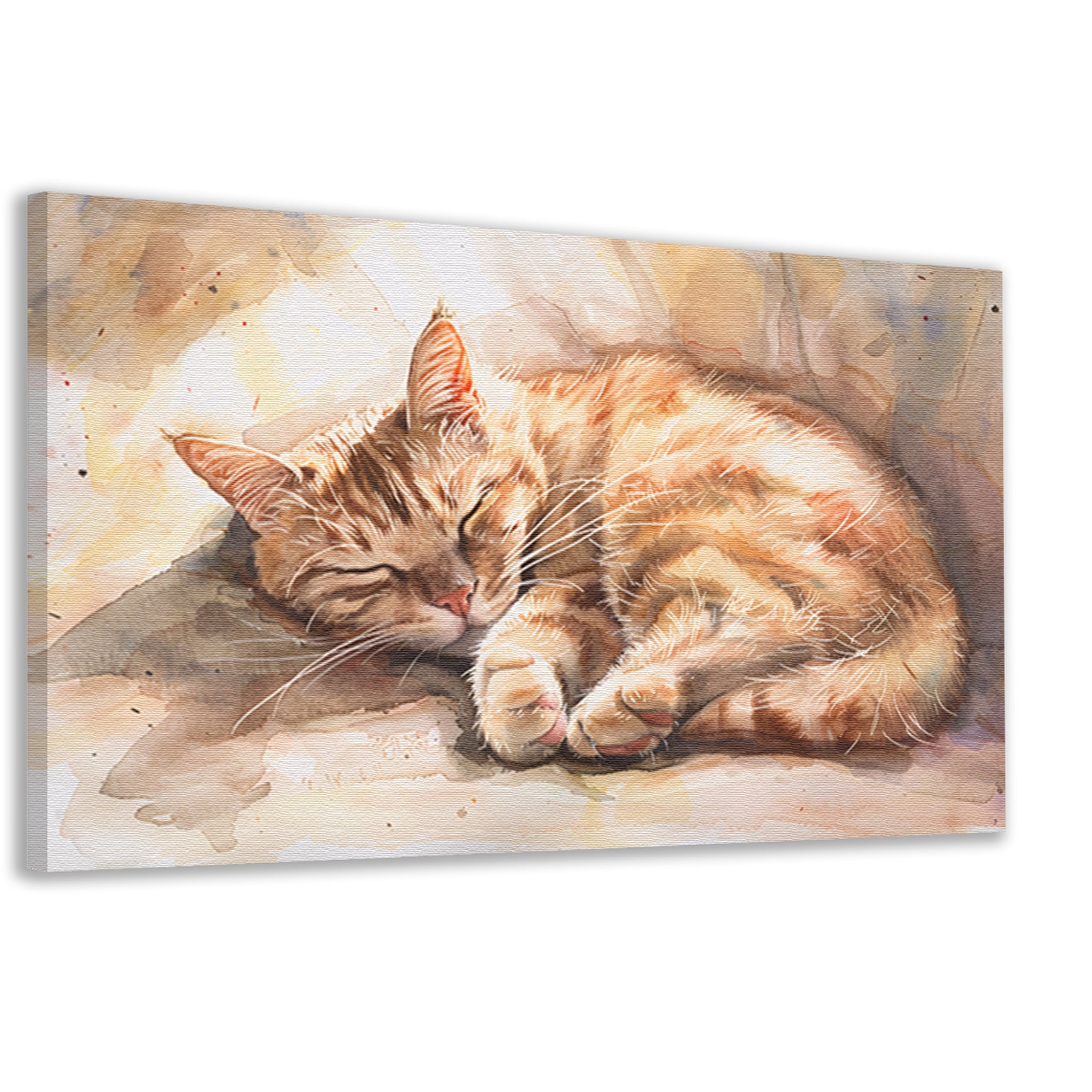 Slapende kat in zonlicht aquarel schilderij canvas
