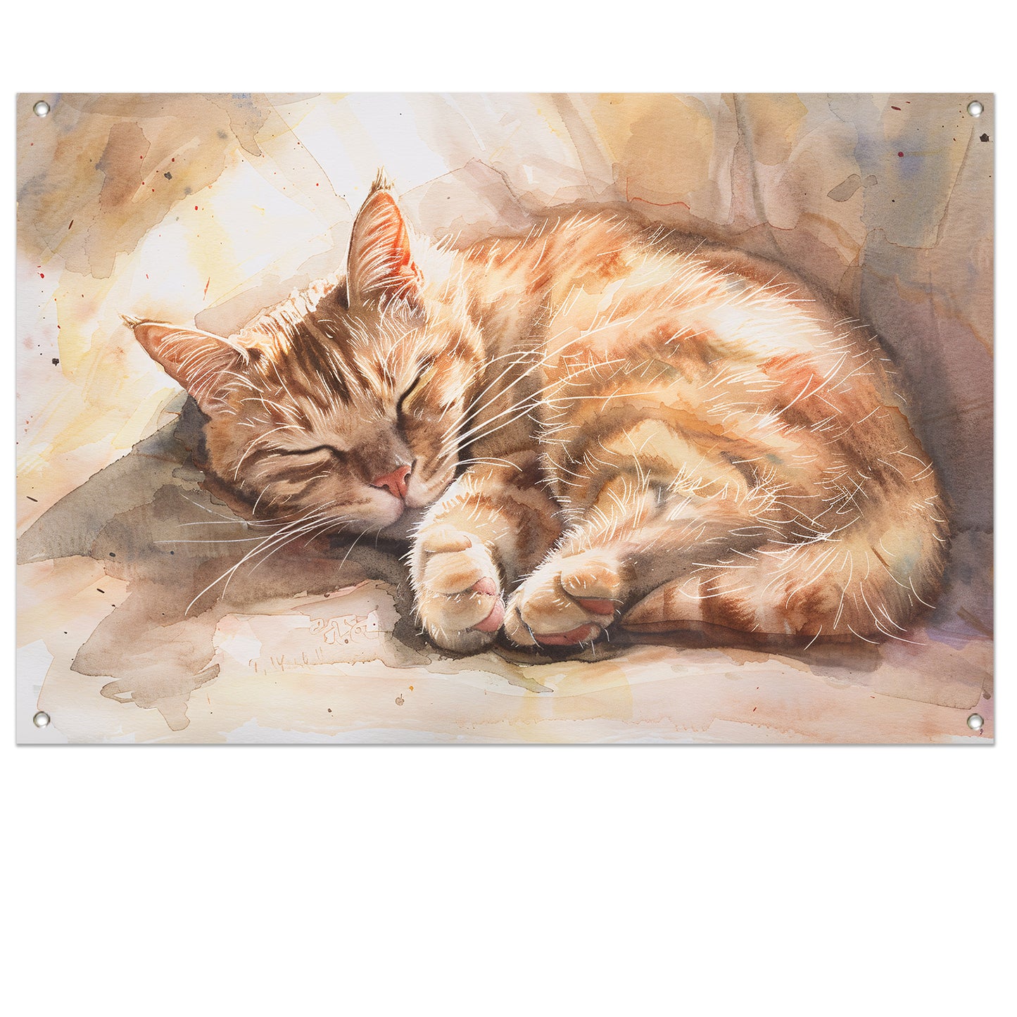Slapende kat in zonlicht aquarel schilderij tuinposter