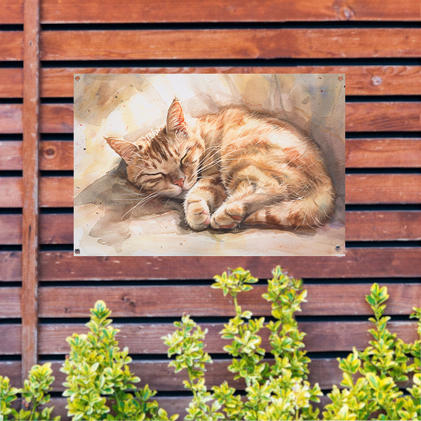 Slapende kat in zonlicht aquarel schilderij tuinposter