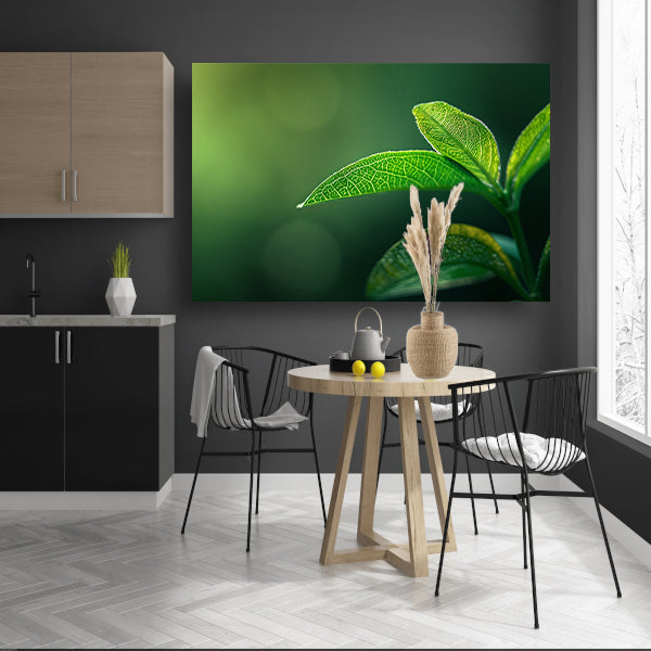 Detail van blad in natuurlijk zonlichtposter