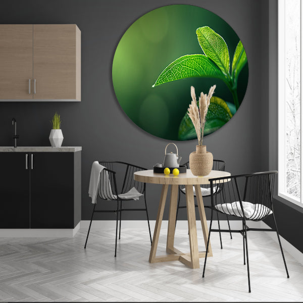 Detail van blad in natuurlijk zonlicht forex muurcirkel