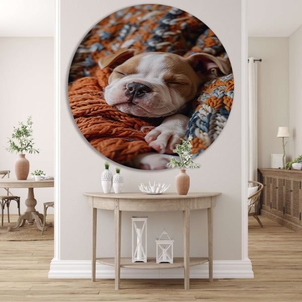 Bulldog Puppy Slaapt in Warme Deken aluminium muurcirkel