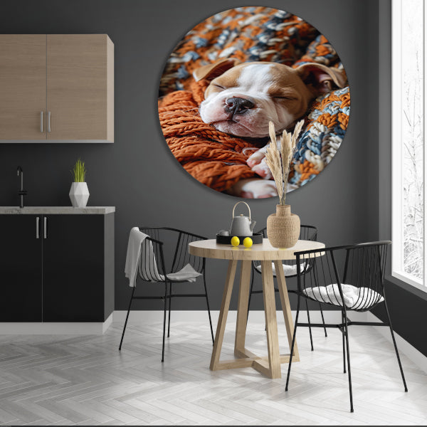 Bulldog Puppy Slaapt in Warme Deken aluminium muurcirkel