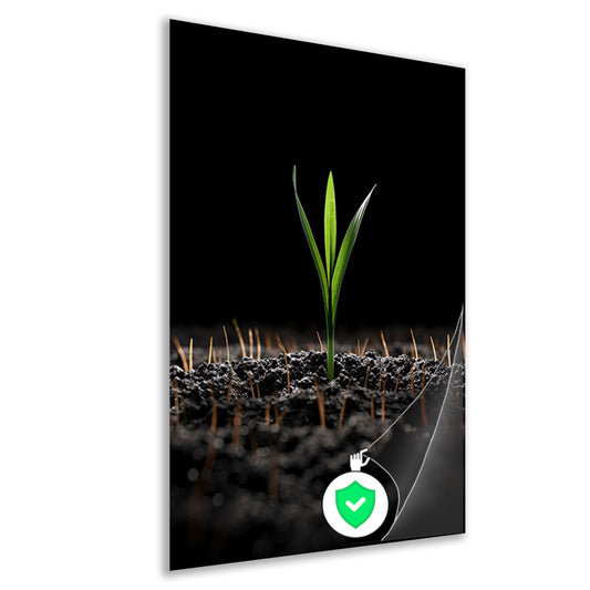 Groene spruit in donkere aarde poster