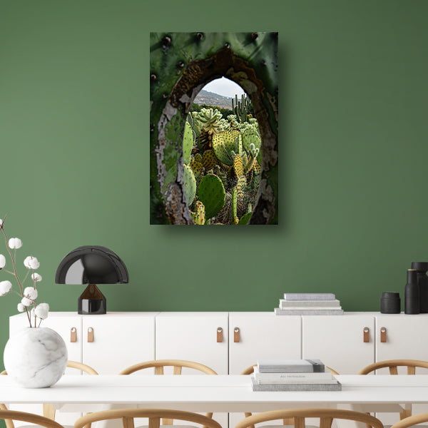 Doorkijkje naar een cactusparadijs acrylglas