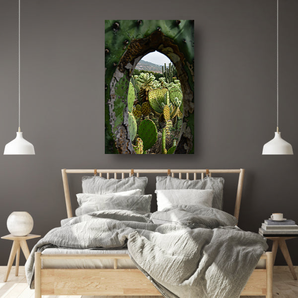Doorkijkje naar een cactusparadijs acrylglas