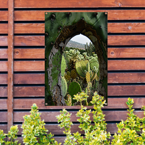 Doorkijkje naar een cactusparadijs tuinposter
