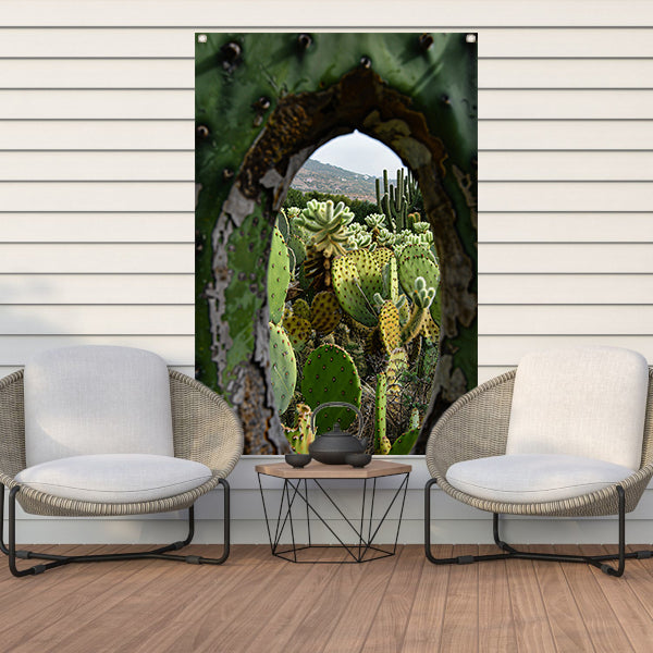 Doorkijkje naar een cactusparadijs tuinposter