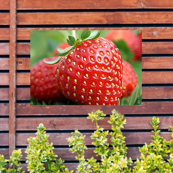 Rijpe rode aardbei met frisgroene bladeren tuinposter