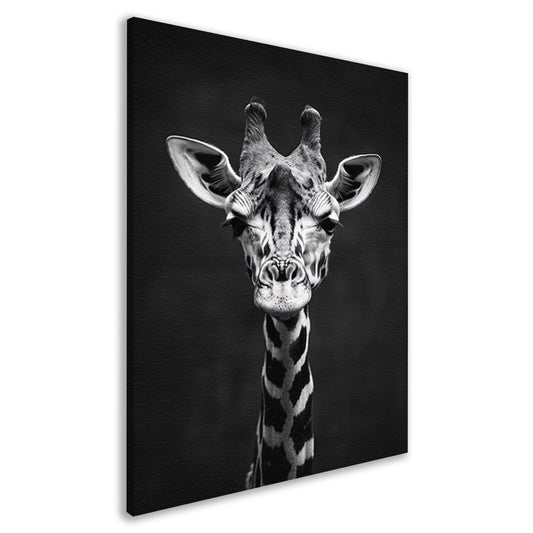 Zwart-wit portret van een giraf canvas