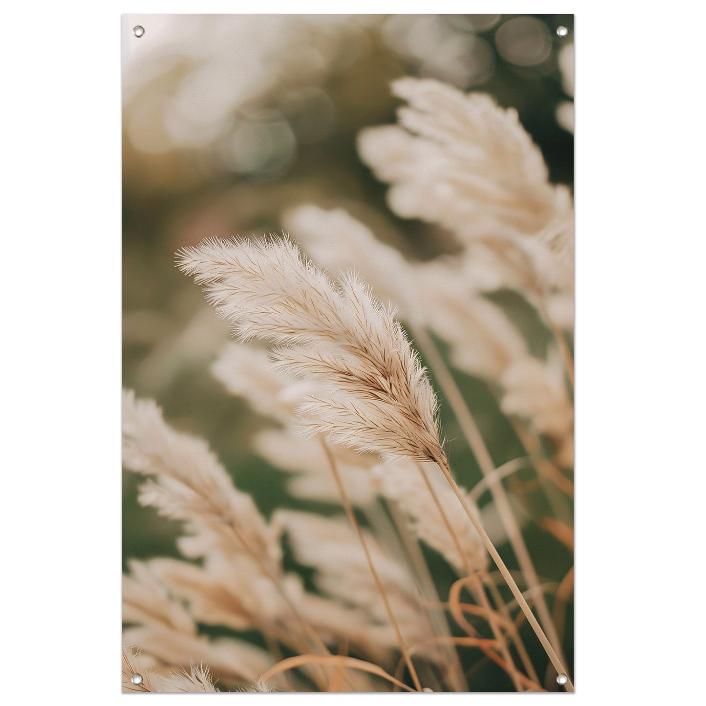 Zachte Pluimen in een Monochrome Wereld tuinposter