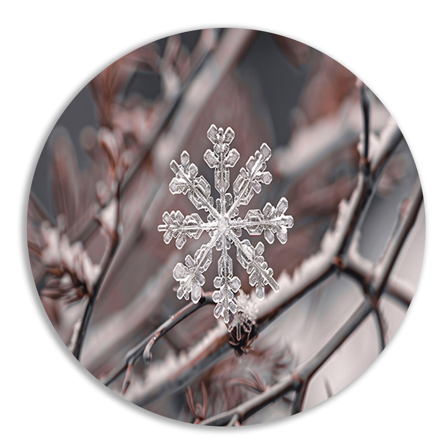 Gedetailleerde macrofoto van sneeuwvlok op takken aluminium muurcirkel