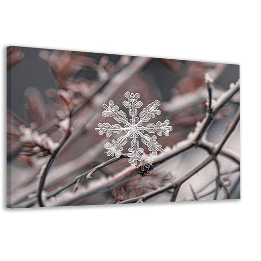Gedetailleerde macrofoto van sneeuwvlok op takken canvas