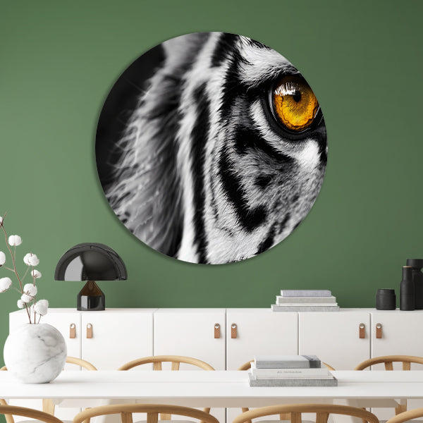 Intense blik van een tijgeroog aluminium muurcirkel