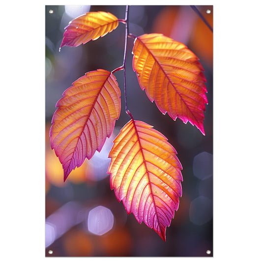 Close-up van herfstbladeren aan tak tuinposter