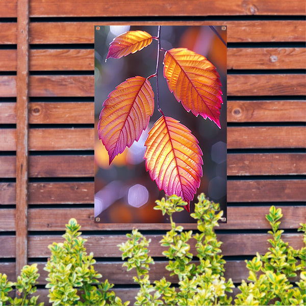 Close-up van herfstbladeren aan tak tuinposter