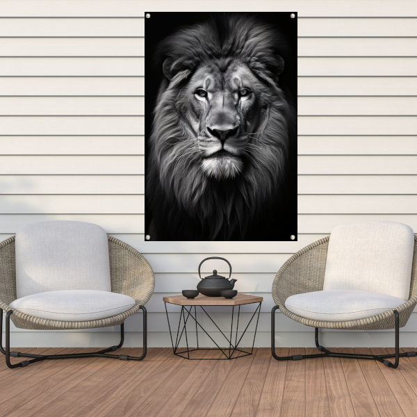 Staren van de Afrikaanse Koning tuinposter