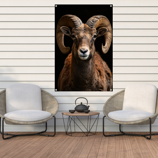 Indrukwekkende Ram met Elegante Krullende Hoorns tuinposter