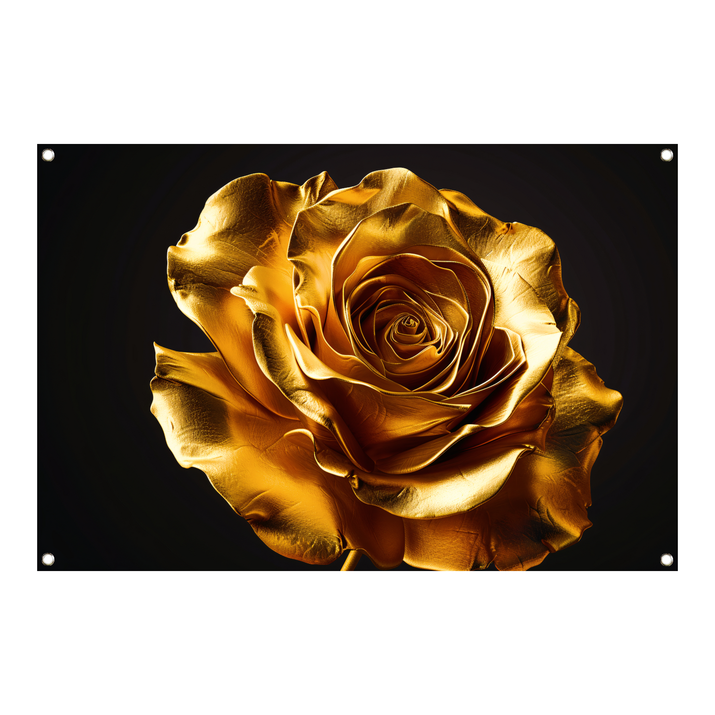 Gouden Roos Elegante Decoratie Zwarte Achtergrond tuinposter