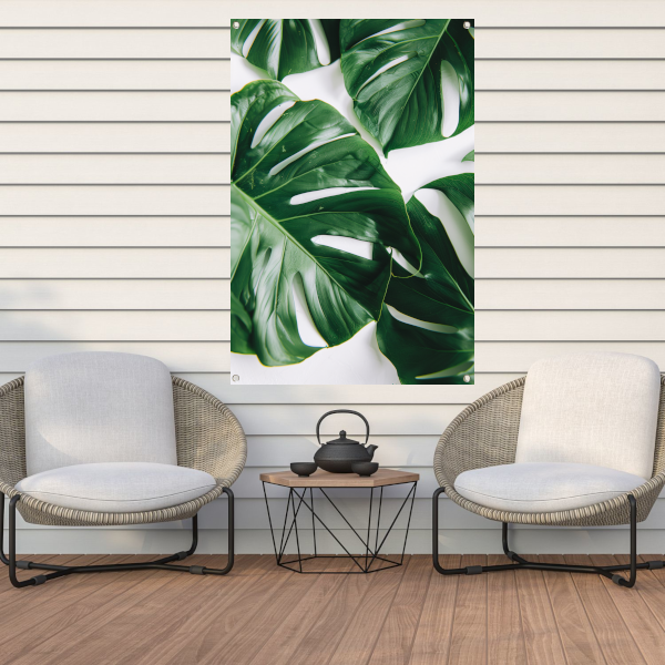 Elegante Monstera bladeren op helderwitte achtergrond tuinposter
