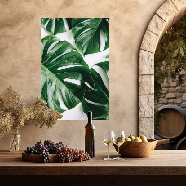 Elegante Monstera bladeren op helderwitte achtergrond tuinposter