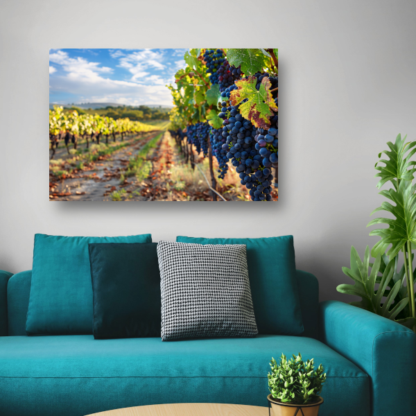 Klassieke druiventrossen canvas