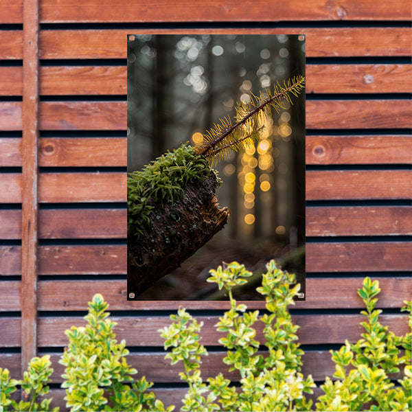 Plant groeit uit mos op hout tuinposter