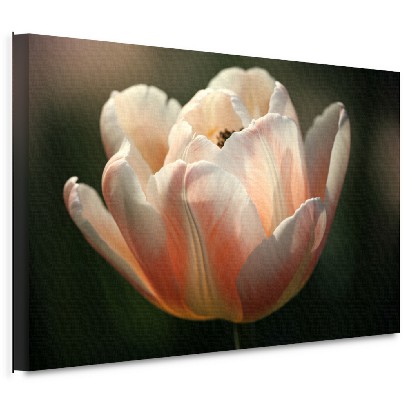 Close-up van roze bloem in bloei canvas