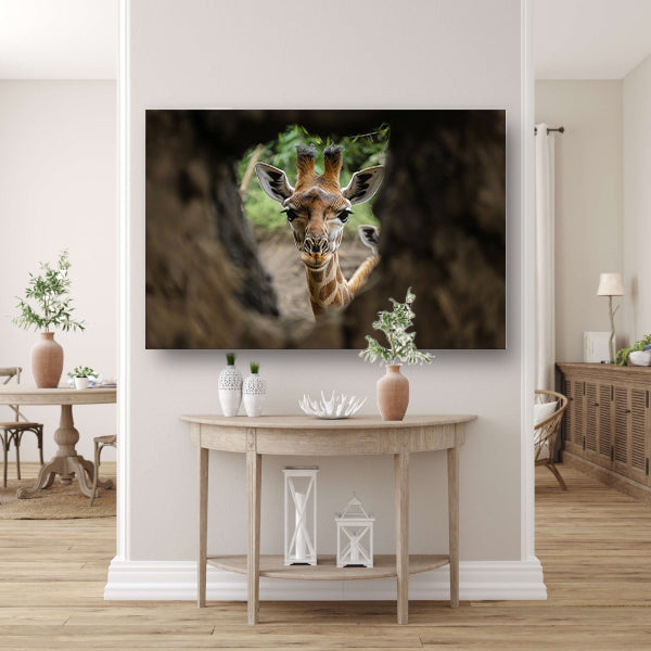 Jonge giraf gluurt door boom acrylglas