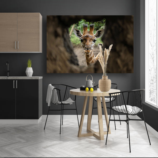 Jonge giraf gluurt door boom acrylglas