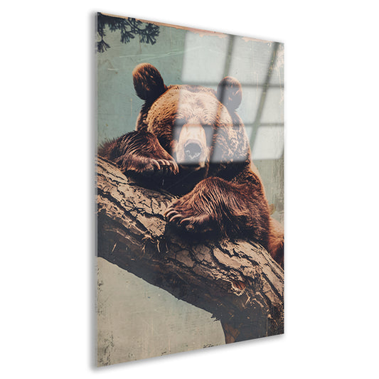 Beer rustend op een boomstronk acrylglas