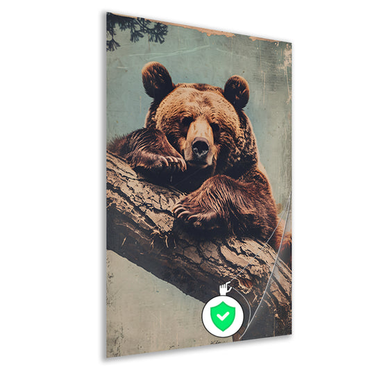 Beer rustend op een boomstronk poster