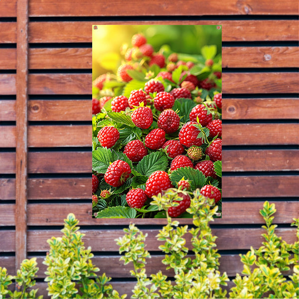 Close-up van Rijpe Frambozen in Zonlicht tuinposter