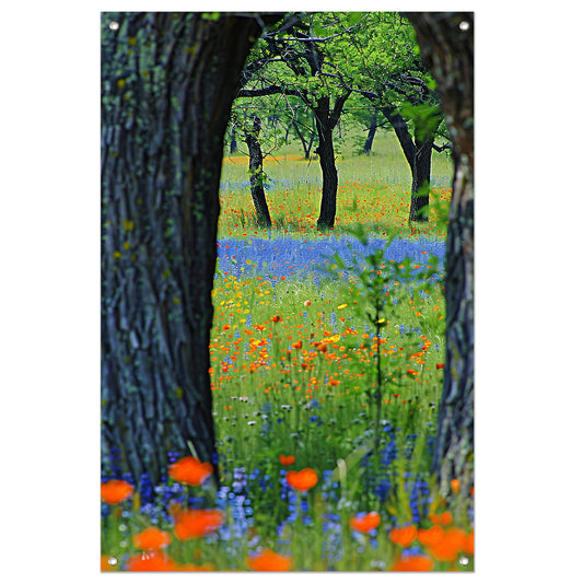 Kleurrijk Bloemenveld met Bomen tuinposter