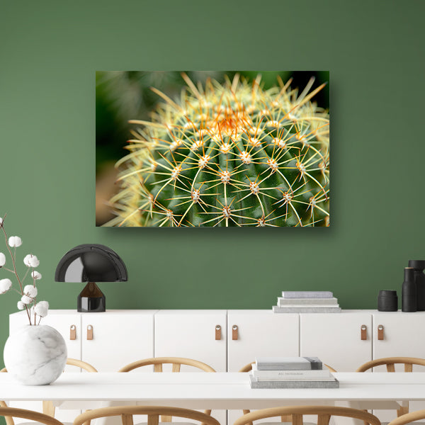 Gedetailleerde close-up van een cactusplant acrylglas