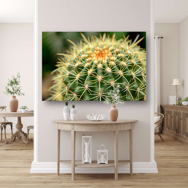 Gedetailleerde close-up van een cactusplant acrylglas