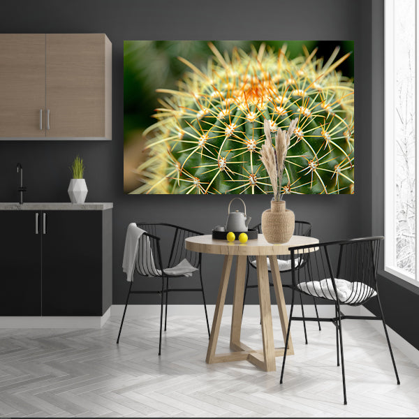 Gedetailleerde close-up van een cactusplant acrylglas