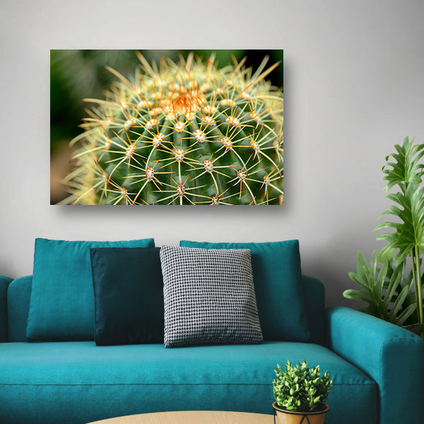 Gedetailleerde close-up van een cactusplant acrylglas