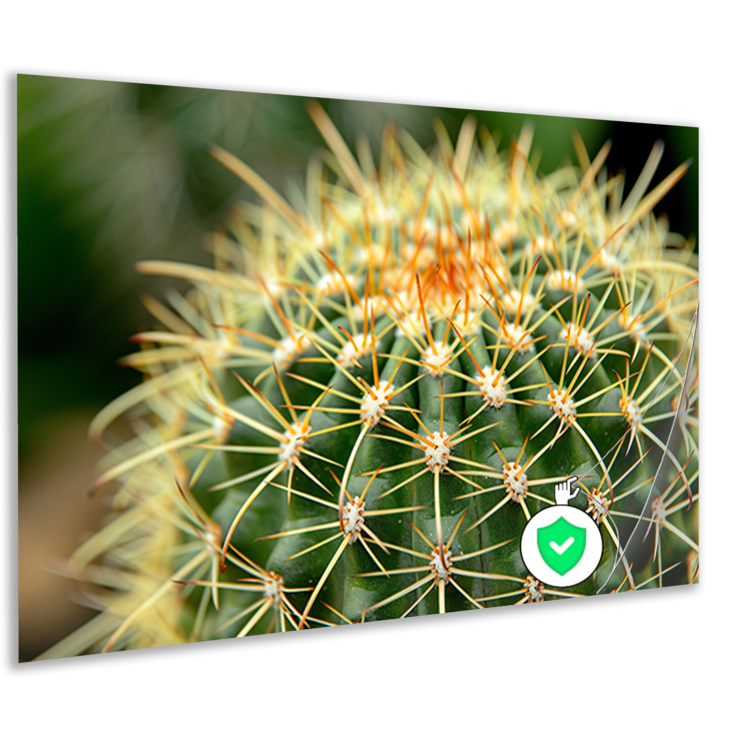 Gedetailleerde close-up van een cactusplant poster