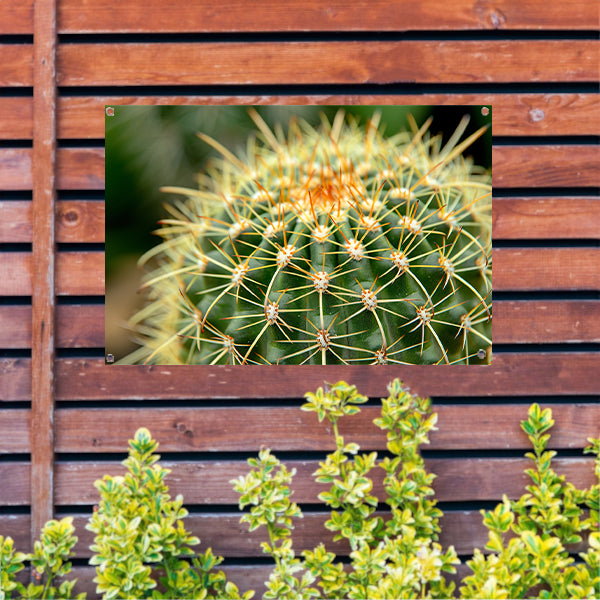 Gedetailleerde close-up van een cactusplant tuinposter