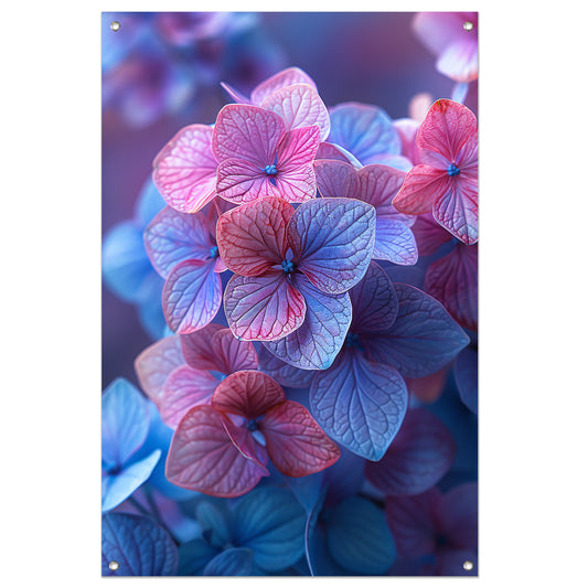 Close-up van roze en blauwe hortensia bloemen tuinposter