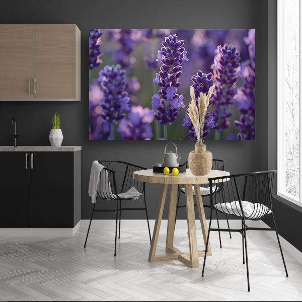 Betoverende lavendelbloemen badend in zacht avondlicht canvas