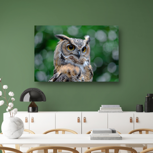 De Majestueuze Blik van een Uil poster