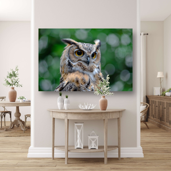 De Majestueuze Blik van een Uil poster